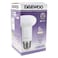 Daewoo B22d LED Bulb 8W Warm White
