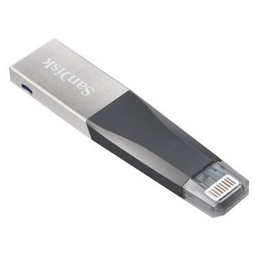 SanDisk 256GB Ixpand Mini USB 3.0 Flash Drive - SDIX40N-256G-GN6NE
