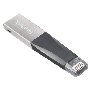 سانديسك - محرك أقراص فلاش Ixpand Mini USB 3.0 سعة 256 جيجابايت SDIX40N-256G-GN6NE