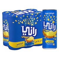 Rani Float No Added Sugar Pineapple Mixed Fruit Drink 6 x 240 ml