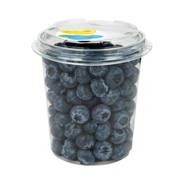 Blueberries Punnet