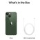Apple iPhone 13 Mini, 256GB Internal memory, Green