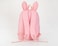 Kids Rabbit Ear Pattern Backpack 17.7 Inches Pink/Yellow/White