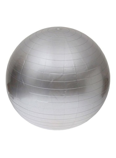 Body Fitness Exercise Ball 65cm