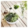 Luminarc Diwali Serving Dish 260ml White