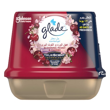 جليد جل معطر جو مناسب للمنزل برائحة عبق الورد والتوت البري، 180 جرام