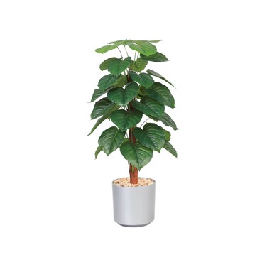 Monstera tree 145 cm