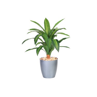 Corn leaf tree 80 cm