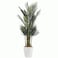 Green areca tree 150 cm