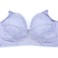 Sunveno Maternity Nursing Bra - Blue 85B
