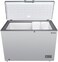 GS General Supreme Chest Freezer (13.4 Ft.380 L), GSHF632HS, Silver (Installation Not Included)