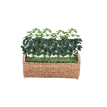 شجره الاوكالبتوس الصناعيه 85x100 سم