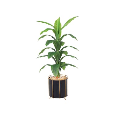 Corn leaf tree 120 cm