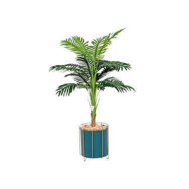 Palm badge plant, iron pot, 100 cm