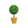 Boxwood ball tree 80 cm