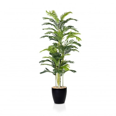 Giant modern areca palm black basin 200 cm