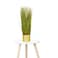 Wheatgrass vase with golden base, 60cm