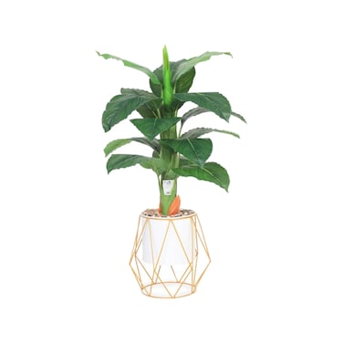 Source leaf tree 80 cm