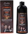 Fast Hair Dye Shampoo with Argan Oil Dark Brown with Natural Black 420ml 2pcs