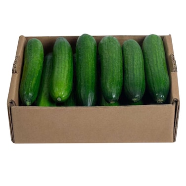 Dava Cucumber Hdp Box 3kg