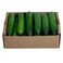 Dava Cucumber Hdp Box 3kg
