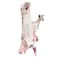 Odhia Local Goat Carcass Weight (Approx 10 TO 13 KG) - Eid Pre-Order