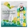 Jif Antibacterial Dishwashing Liquid Lemon &amp; Mint, 1275ml