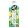 Jif Antibacterial Dishwashing Liquid Lemon &amp; Mint, 1275ml