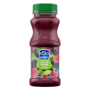Nadec Nectar Berry with Fruit Mix 180ml