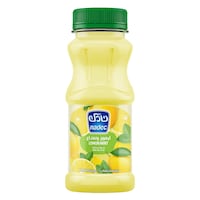 Nadec Nectar Lemon Mint with Fruit Mix 180ml
