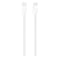 Apple 240W USB-C Data Sync Charging Cable 2m White