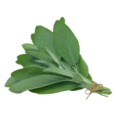 Sage 100g