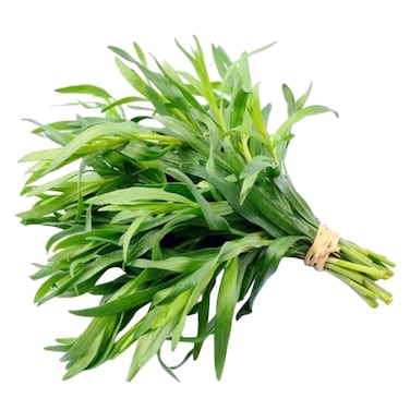 طرخون 100 جرام