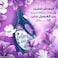 Downy Lavender &amp; Musk 3L, Fabric Softener, All-in-One Concentrate