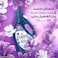 Downy Lavender &amp; Musk 1L, Fabric Softener, All-in-One Concentrate