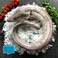 Whole Conger Eel