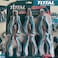 TOTAL THT1K0511 6PCS Mini Pliers Set 115mm Precision Tool Kit Long Nose Cutter Combo Set