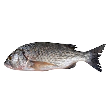 سمك سوبيتي نقاو 400 جرام