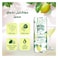 Maison Perrier Chic Lemonjito Sparkling Water 250 ml Can, Pack of 4