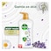 Dettol Activ-Botany Shower Gel &amp; Body Wash, Lavender &amp; Chamomile Scent, 500ml
