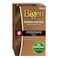 Beigen Hair Dye Color Powder 6g Chocolate
