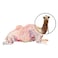 Odhia Local Camel Carcass Weight (Approx 140 TO 160 KG) - Eid Pre-Order