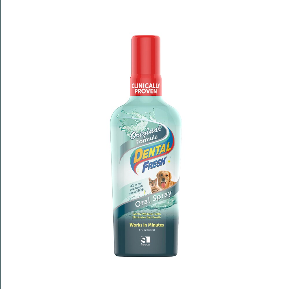 Buy Dental Fresh Original Formula Oral Spray, 4 oz Online | Carrefour KSA