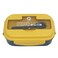 بيرفيكت صندوق غداء بلاستيك 1.1 لتر متنوع الألوان