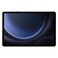 Samsung Tab S9FE, 256 GB, 8 GB Ram, Wi-Fi, Grey