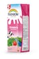 Rainbow - Strawberry Flavored Milk 200ml