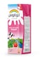 Rainbow - Strawberry Flavored Milk 200ml