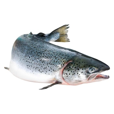 Loch Duart Scottish Salmon 4-5kg