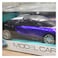 Remote Control Car 1:24 Model Car Assorted
