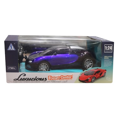 Remote Control Car 1:24 Model Car Assorted